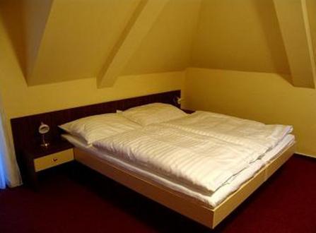 Hotel Altenberg Staré Hory Chambre photo