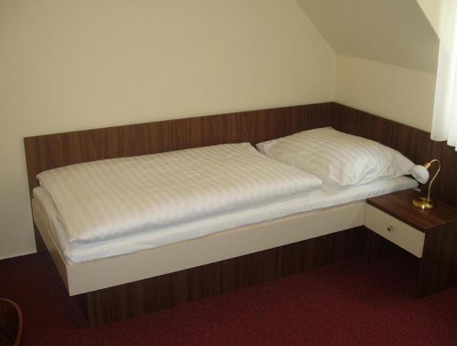 Hotel Altenberg Staré Hory Chambre photo
