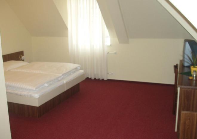 Hotel Altenberg Staré Hory Chambre photo